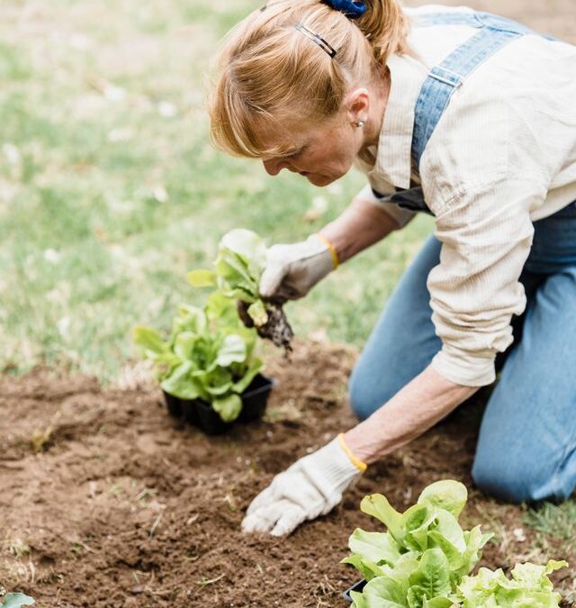 Three Benefits of Gardening Therapy for Seniors