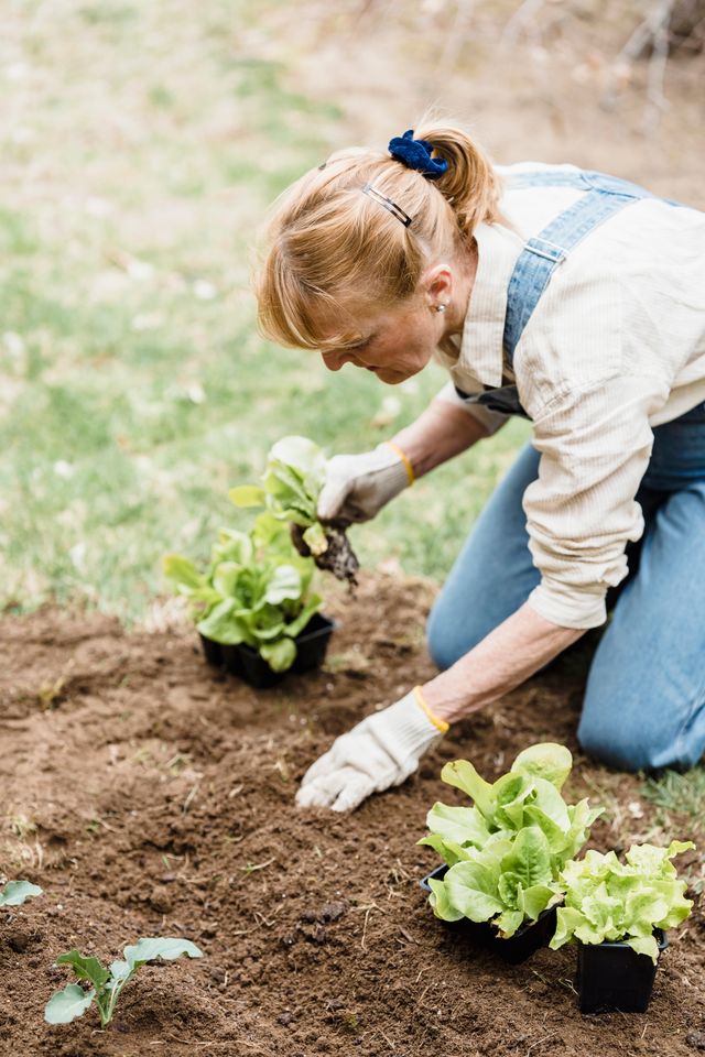 Three Benefits of Gardening Therapy for Seniors